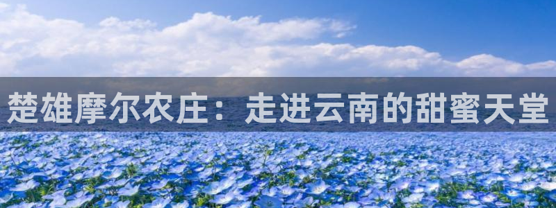 琳琅娱乐开户：楚雄摩尔农庄：走进云南的甜蜜天堂