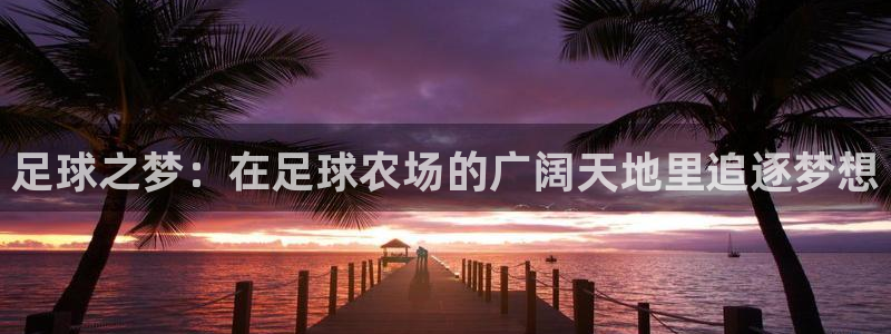 qq飞车琳琅娱乐组