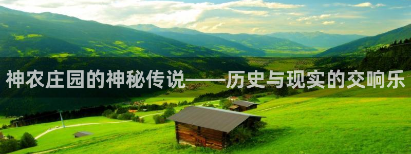 琳琅娱乐代理人是谁