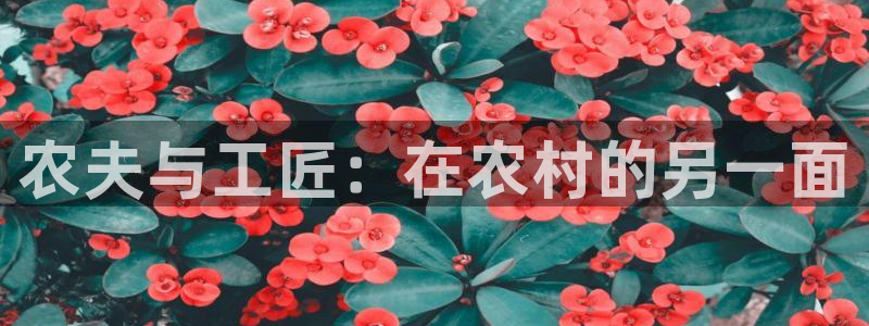 琳琅娱乐琳琅平台
