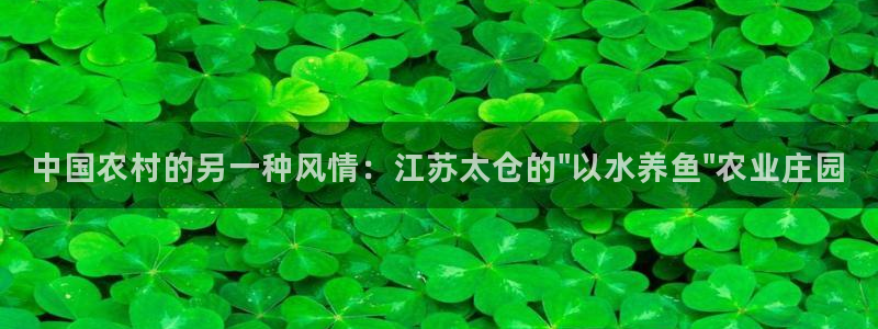琳琅科技娱乐