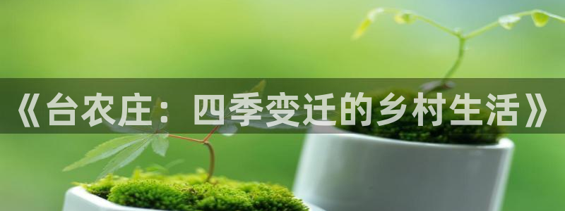 琳琅国际娱乐会所