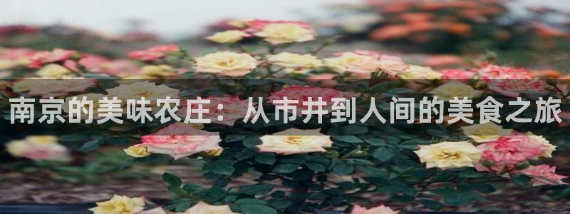 琳琅国际娱乐会所怎么样