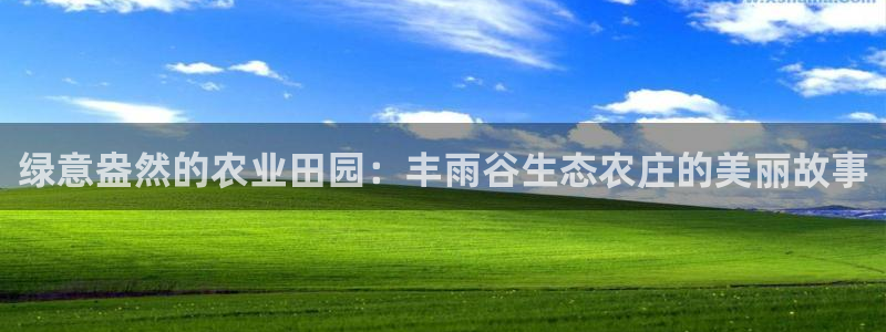 琳琅娱乐在哪直播的