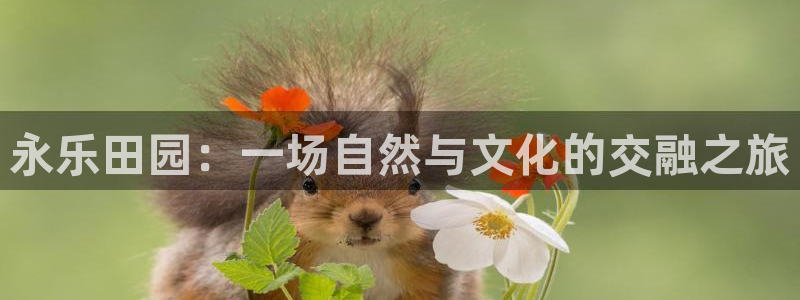 琳琅娱乐怎么样知乎