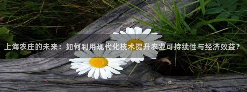 琳琅娱乐导航