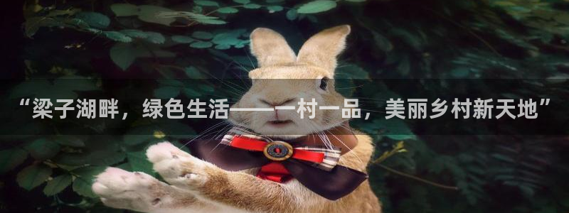 qq琳琅科技娱乐机器人