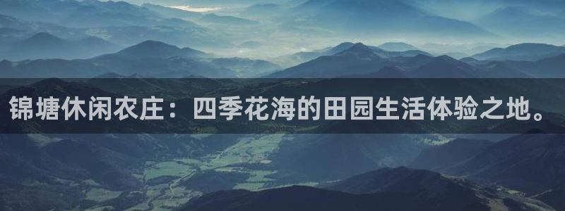 琳琅科技娱乐机器人