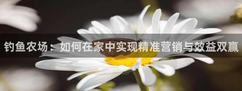 琳琅娱乐平台怎么样啊