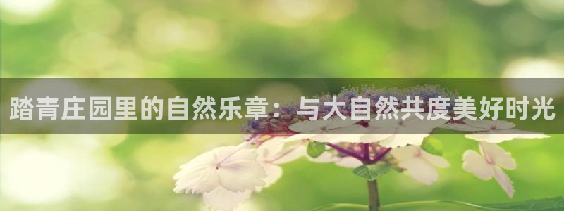 琳琅社区娱乐视频