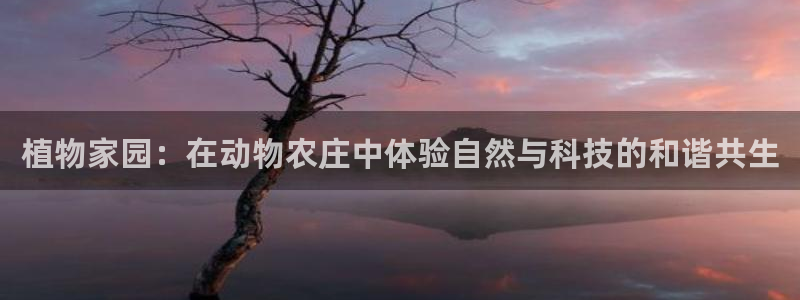 娱乐从琳琅榜开始