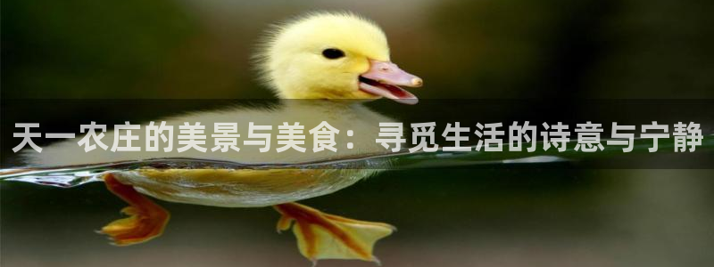 琳琅娱乐官网