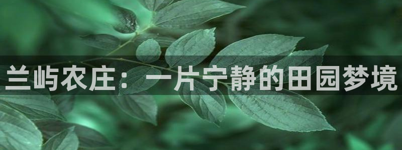 琳琅娱乐工作室招聘条件