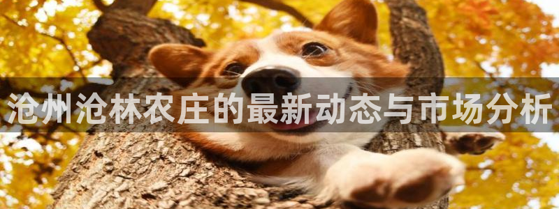 琳琅娱乐社区600u