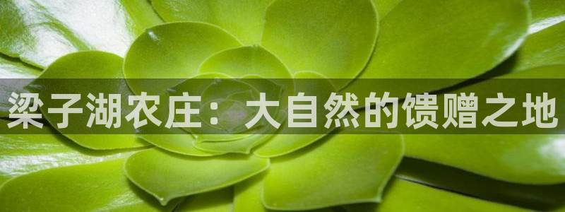 琳琅娱乐工作室怎么样