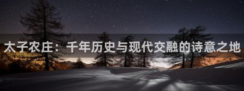 琳琅娱乐场所