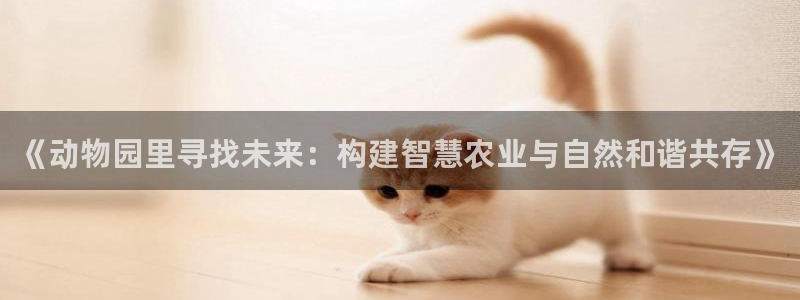琳琅娱乐600