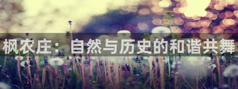 琳琅娱乐代理人是谁