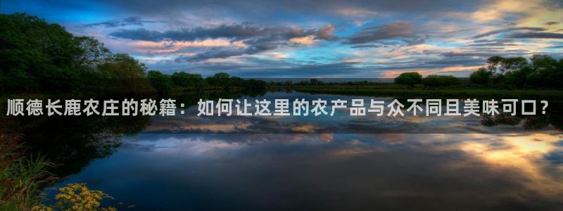 琳琅娱乐工作室招聘
