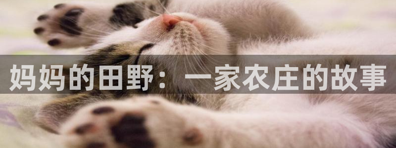 琳琅科技娱乐机器