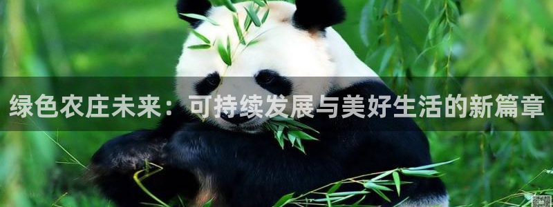 娱乐从琳琅榜开始笔趣阁