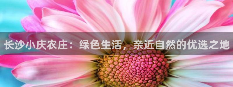 琳琅谈娱乐