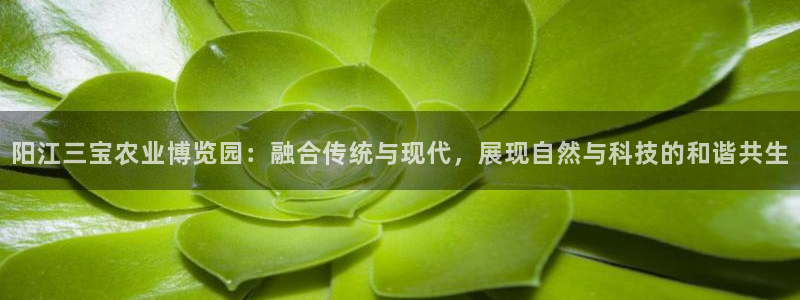 琳琅科技qq娱乐机器人
