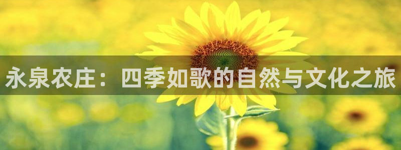 琳琅娱乐工作室怎么样啊