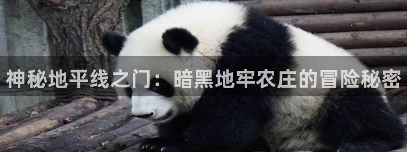 琳琅娱乐代理人是谁