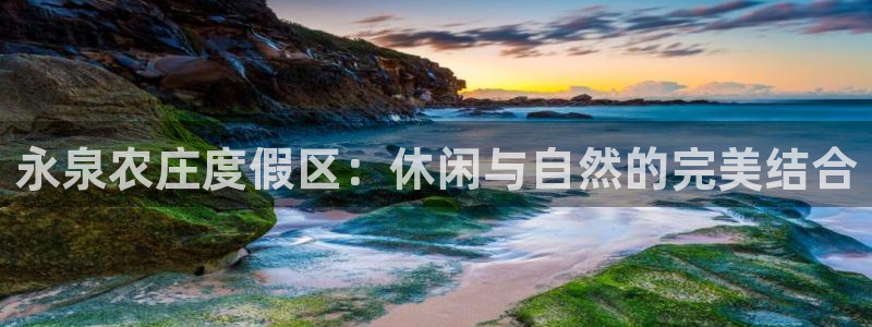 娱乐从琳琅榜开始的小说