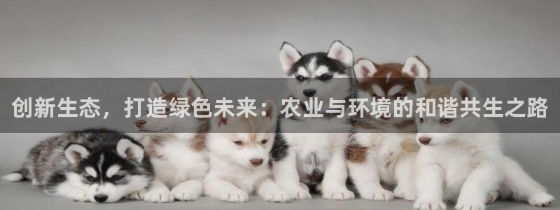 qq琳琅科技娱乐机器人