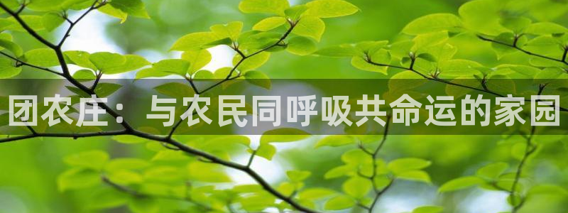 琳琅娱乐免费线上观看