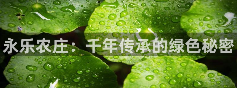 琳琅娱乐工作室招聘电话