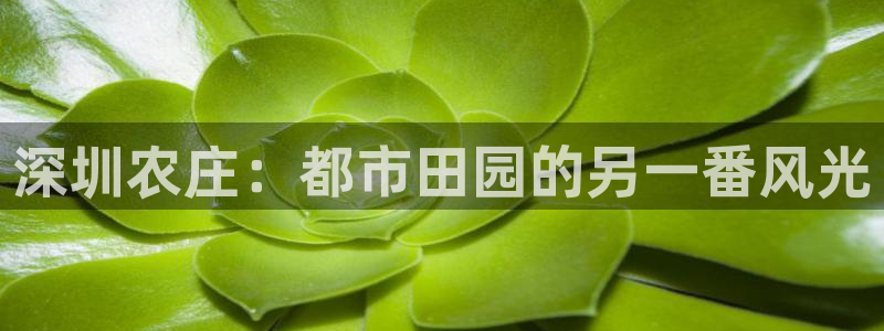 琳琅娱乐m