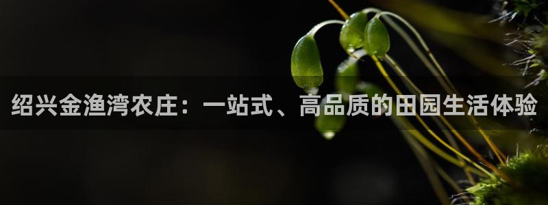琳琅娱乐百科