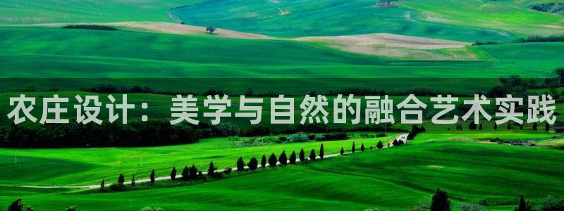 琳琅科技娱乐机器人