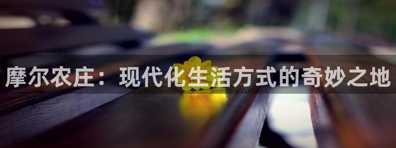 琳琅社区文艺娱乐