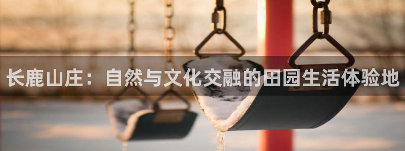 琳琅娱乐网