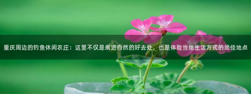 琳琅娱乐平台怎么样