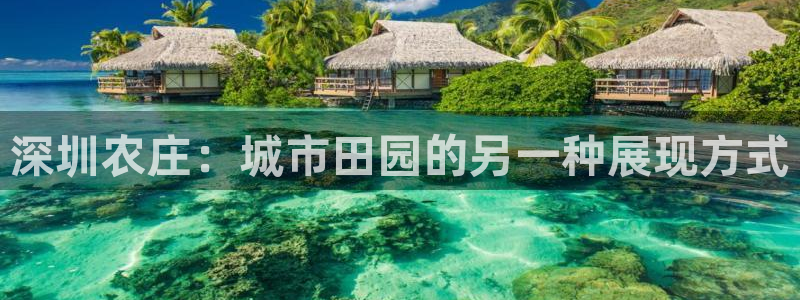 娱乐 从琳琅榜开始