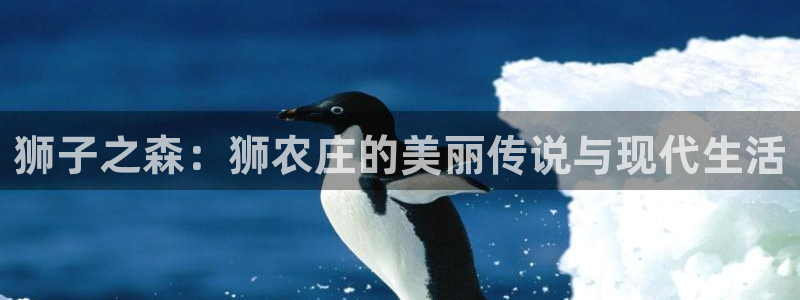 琳琅娱乐代理怎么做的