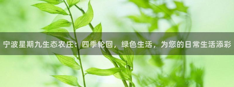 琳琅娱乐代理怎么样