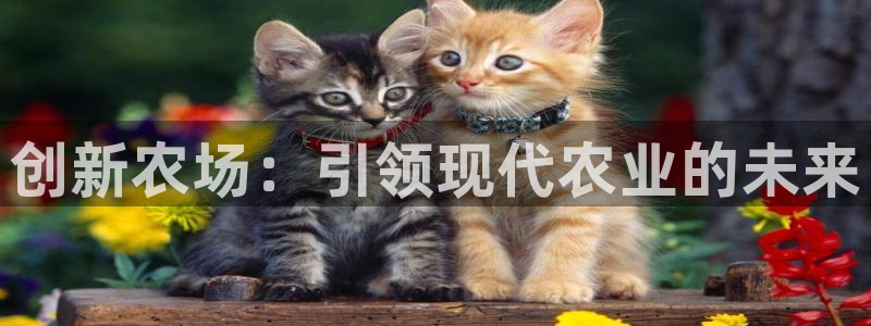 琳琅娱乐成年女人视频