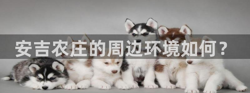 琳琅科技qq娱乐机器人