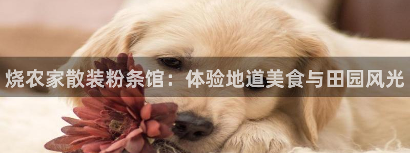 琳琅满目的娱乐设施