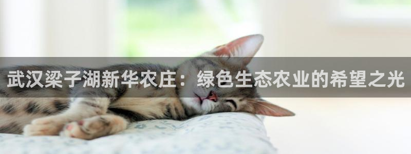 琳琅娱乐招商