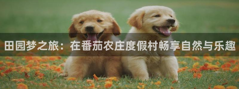 琳琅聊娱乐