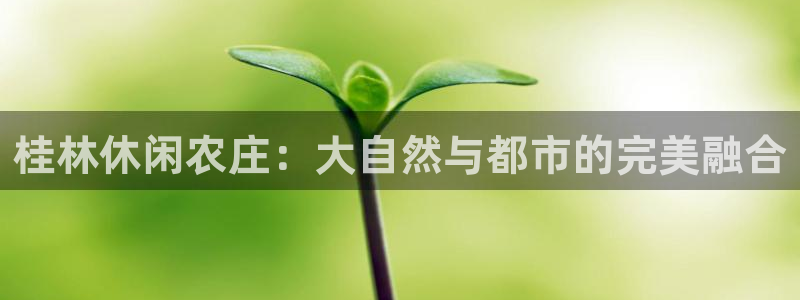 琳琅娱乐社区宅男