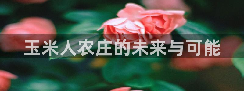 琳琅科技娱乐机器