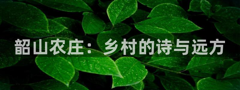 琳琅娱乐4120051